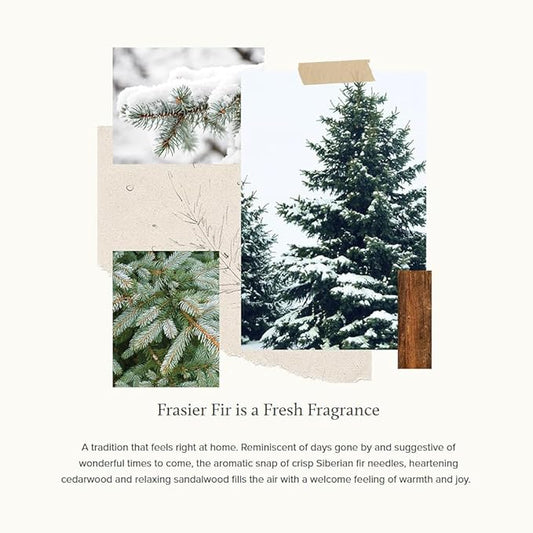 Thymes Frasier Fir Reed Diffuser Set – Includes Reeds, Fragrance Oil, and Frosted Glass Bottle – Fragrance Oil Diffuser – Room Fresheners – Luxury Home Decor – Green & White (Frosted Plaid, 4 fl oz)