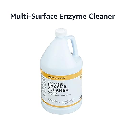 AmazonCommercial Multi-Purpose Enzyme Cleaner, 1-Gallon, 1-Pack