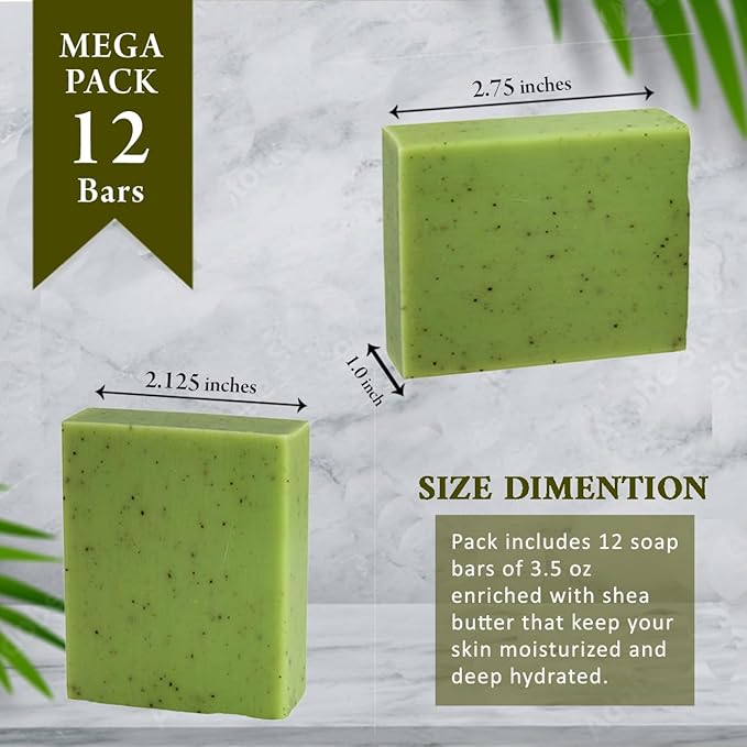 Eucalyptus Scented Natural Soap Bars (12 Bars), 3.5oz Moisturizing French Triple Milled Soap Bars Enriched with Shea Butter - Pure Plant Oil Bath & Body Soaps