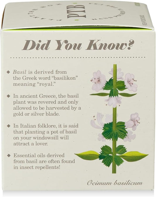 KOBO Fresh Picked Basil Plant The Box Candle (9 oz)