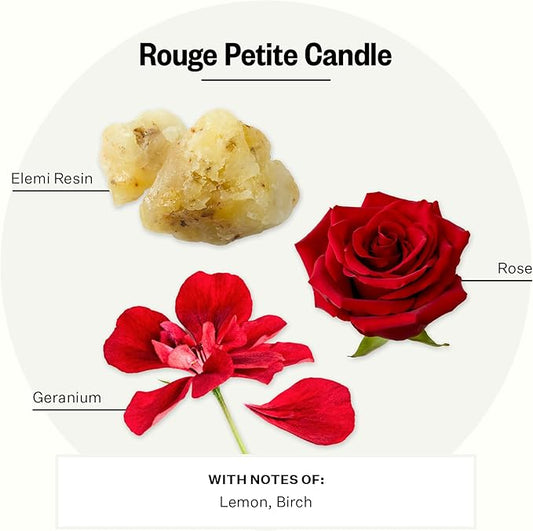 Apotheke Luxury Scented Candles for Home, Charcoal Rouge - Petite Aromatherapy Jar Candle with Soy Wax Blend