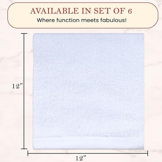 Vintage Vista 100% Cotton Dish Cloths (Pack of 6) - Dish Rags for Washing Dishes - Reusable & Highly Absorbent Kitchen Towels - Kitchen Rags for Christmas - (12" x 12" - White II)