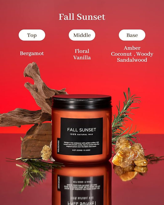 M&SENSE Baltic Amber Scented Candle, Clean Soy Wax Non Toxic 11.6oz 70 Hours Long Lasting Burn, Double Cotton Wick, Relaxing Aromatherapy Candles for Stree Relief, Winter Holiday Gifts Women Men