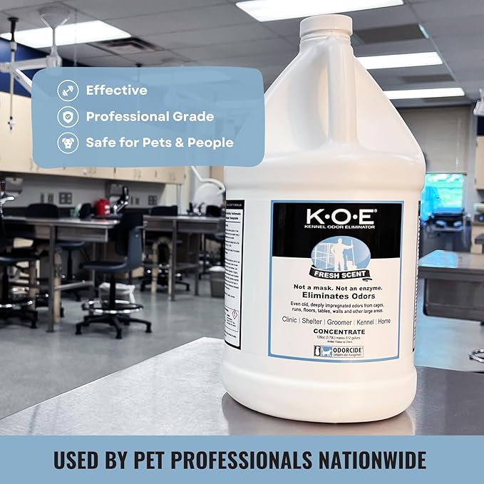 K.O.E. Fresh Scent Odor Eliminator Concentrate – For Strong Odor on Cages, Floor, & More – Non-Enzymatic For Home & Dog Kennel – Home & Pet Supplies (1 Gal)