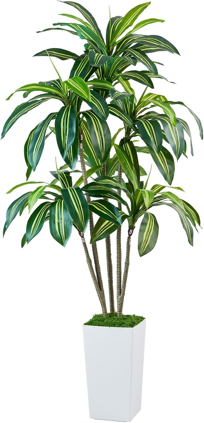 Dracaena Artificial Plants Indoor, 6FT Tall Faux Tree with White Tall Planter, Fake Yucca Tree Floor Plant, Artificial Trees for Home Office Living Room Garden Decor Outdoor, Housewarming Gift