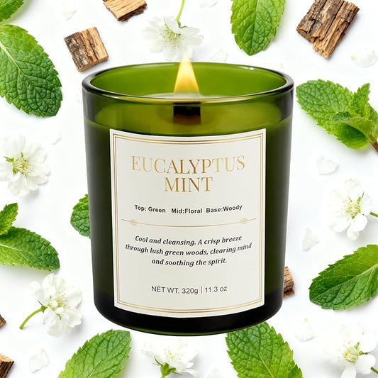 2 Pack Candles for Home Scented,Wood Wick Eucalyptus Mint Scented Candle,22.6 oz 150 Hour Long Burning Lasting, Natural Soy Wax Candles Gifts Set