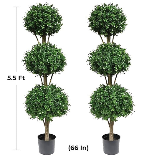 Two 66 Inch Artificial Boxwood Triple Ball Topiary Trees Potted UV Rated 5 and a Half Foot Tall