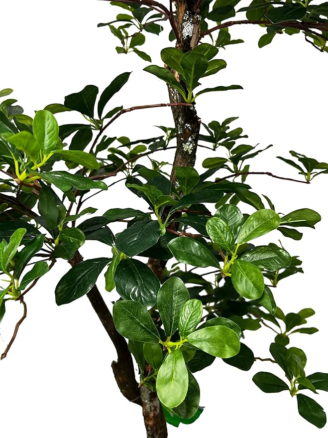 Cypress & Alabaster Handmade 5ft 3-Tier Black Olive Leaf Artificial Tree with Ethically Sourced Real Wood Trunks, Hypoallergenic, 5-Foot, Green