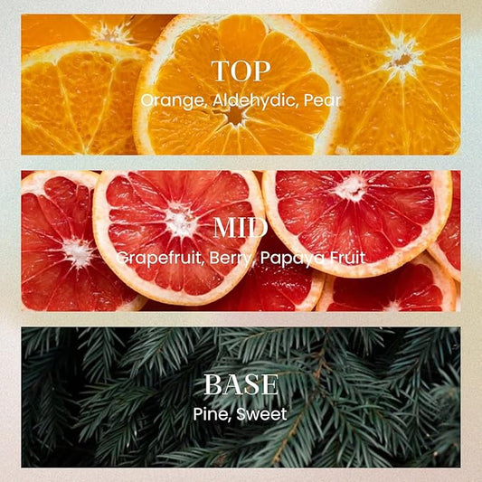 M&SENSE 6.3 oz Large Reed Diffuser Set | Orange Goji Scent Oil Diffuser with Sticks | Hotel Collection Non-Toxic Essential Oil |for Bedroom Bathroom Living Room