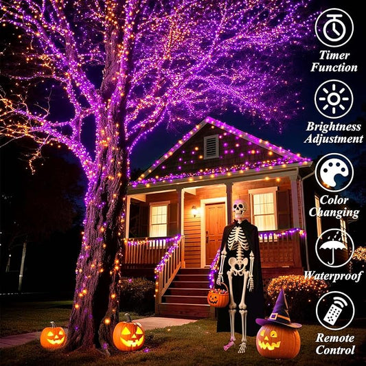 LitHome 66ft 200Led Color Changing String Lights with Remote,35 Colors RGB Christmas Lights with Timer,Dimmable Led String Light Outdoor,Xmas Tree Light Indoor Plug in for Halloween Fall Party Decor