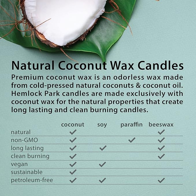 Hemlock Park Crackling Wood Wick Candle Handcrafted with Natural Coconut Wax (Standard 8 oz, Balsam Cedar)