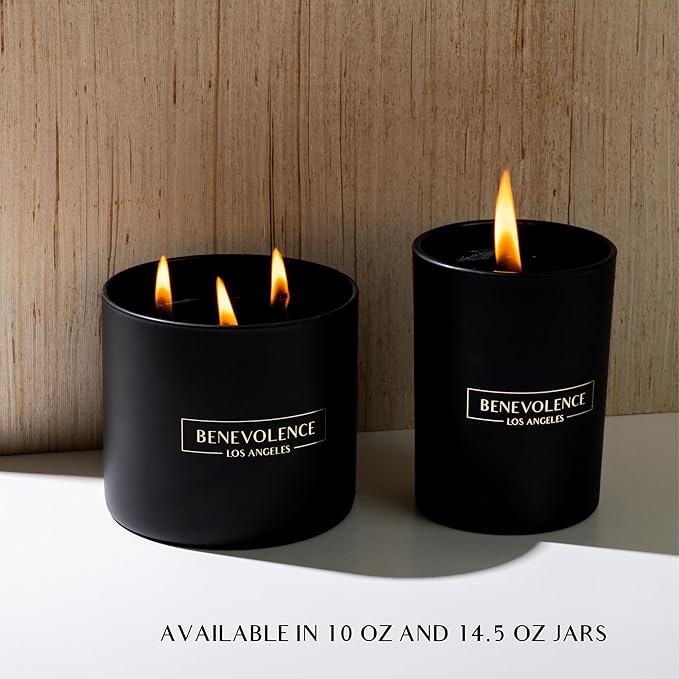 Benevolence LA 3 Wick Candle, Black Berries (Baies) Large Scented Candle | Soy Candles | Gifts for Women and Men | Home Fragrance | Aromatherapy | Bathroom Freshener 14.5 Oz, 45 Hour Burn