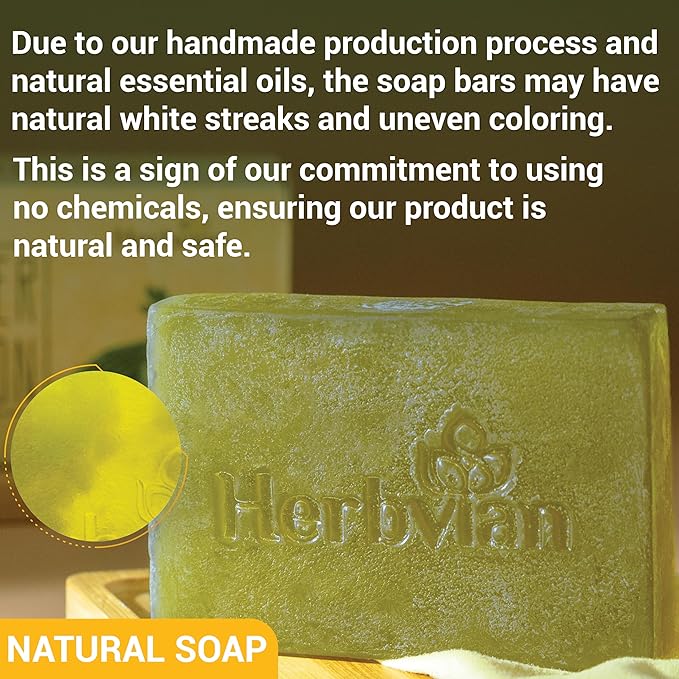 2 PCS Bitter Melon Moringa with Natural Tea Tree Oil Soap Bar for Back Acne, Anti Bacterial Momordica Charantia Body Soap, Anti-Acne, Herbal Cleansing with Melaleuca Quinquenervia Oil