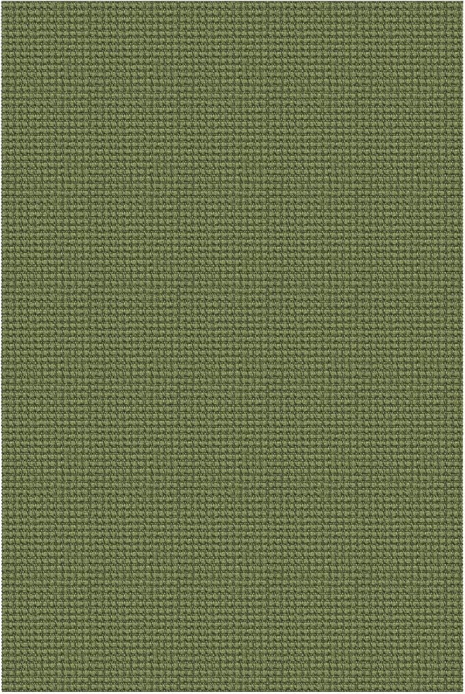 EARTHALL Woven Area Rug 3x5 Ft Washable Rugs for Entryway Braided Non Slip Rubber Backed Throw Rugs Door Mat Indoor Outdoor Entrance Cotton Carpet for Kitchen Foyer Front Door, Green
