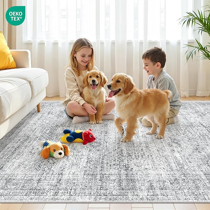 3x5 Washable Area Rug for Entryway, Soft Kitchen Rugs Non Slip for Dining Room, Vintage Abstract Living Room Rug, Thin Area Rugs Indoor for Bedroom, Kids Room Decor(3'x5', Grey/Ivory)