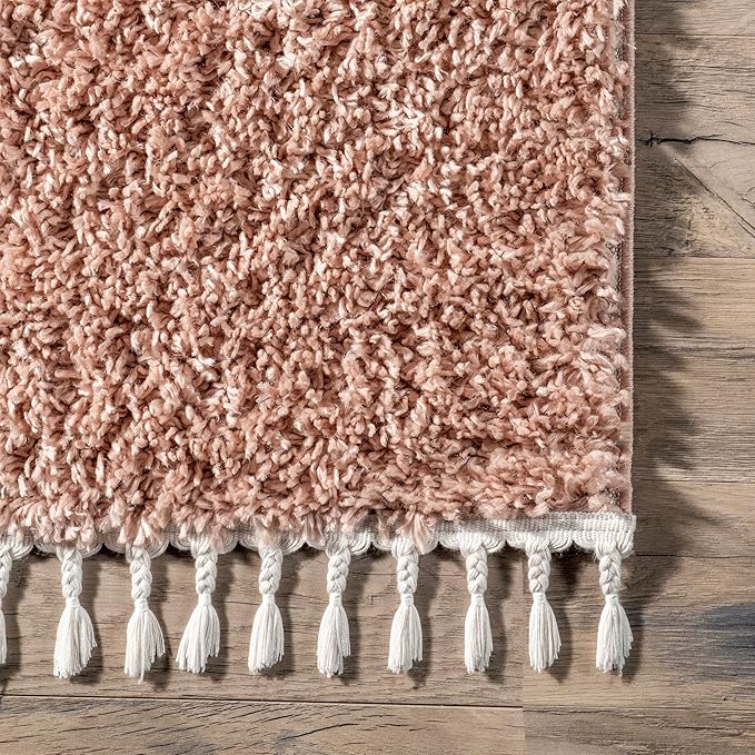 nuLOOM Neva Modern Tasseled Shag Area Rug, 3x5, Pink