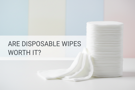 🧻🧼 Are Disposable Wipes Worth It?
