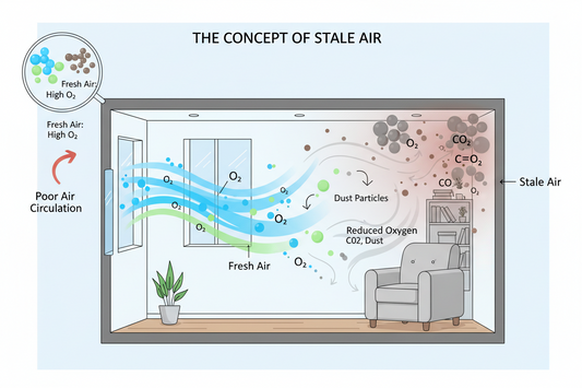 🧪🌬️ The Science Behind Stale Air