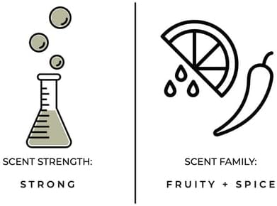 True Hue | Luxury Highly Scented Candle | Premium Soy Wax Blend | 7.75 oz | 40-50 Hour Burn Time | Cotton Wick | Glass (Bergamot + Black Tea)