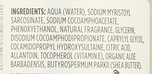 365 by Whole Foods Market, Soap Hand Foaming Lavender, 12 Fl Oz (Pack of 3)