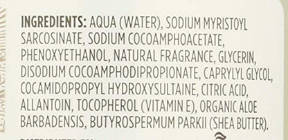 365 by Whole Foods Market, Soap Hand Foaming Lavender, 12 Fl Oz (Pack of 3)