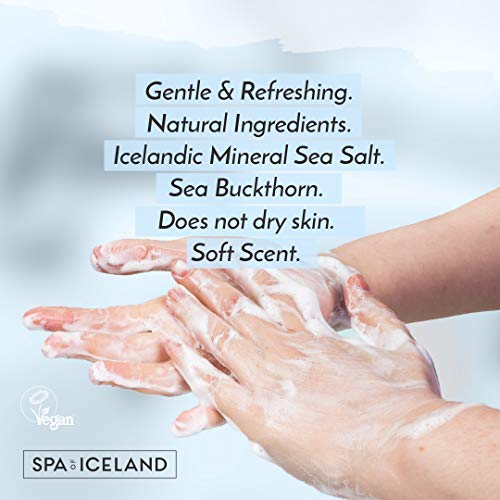 Gentle Softening Liquid Hand Soap - Hydrating Natural Antibacterial Handsoap Wash With Sea Buckthorn For Soft Hands - Preserve Moisture & Remove Bacteria - Refreshing Scent - 300ml