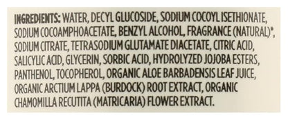 365 by Whole Foods Market, Foaming Hand Soap, Satsuma & Eucalyptus, 12 Fl Oz