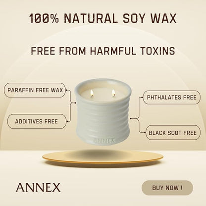 Scented Luxury Citronella Candles outdoor, Mosquito Bug Repellent | Handmade Ceramic Jars, Soy Wax | Cloudy Pillow - Fig Leaf & Lemon, Large Natural Candle | Non Toxic, 2 Wicks, Reusable Big Beige Jar
