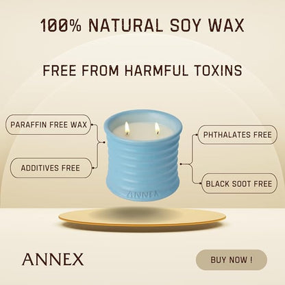 Scented Luxury Candles in Handmade Ceramic Jars, Soy Wax | Day On The Sea – Cypress & Cedar, Large Candle | Non Toxic, 2 Wicks, Reusable Big Blue Jar | Natural Spring Aromatherapy for Women & Men
