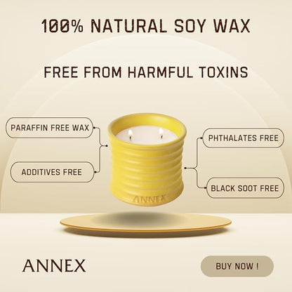 Scented Luxury Candles in Handmade Ceramic Jars, Soy Wax | Flower Bomb – Lily of The Valley & Jasmine, Large Candle | Non Toxic, 2 Wicks, Reusable Yellow Jar | Natural Spring Aromatherapy for Women