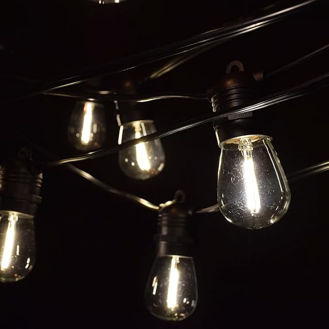 Hometown Evolution, Inc. 100' E26 Commercial LED Outdoor String Lights (100 Foot 50 Socket, S14 LED Filament 1 Watt Light Bulbs)
