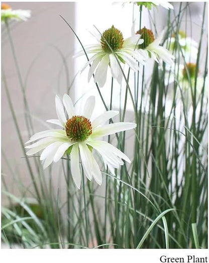 46-Inch Artificial Tall Grass Plant with 9 Lifelike Echinacea Flower - Ideal for Indoor or Outdoor Decoration, Housewarming Gifts, and Home Decor (1-Pack,White)