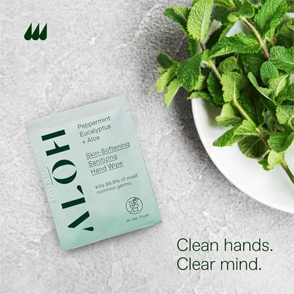 ALŌH Skin - Softening Sanitizing Hand Wipes - Peppermint Eucalyptus + Aloe (4 Boxes of 20 Individually Wrapped Wipes (80 wipes))