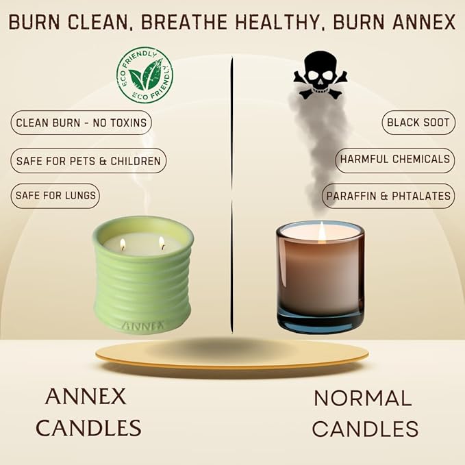 Scented Luxury Candles Outdoor Mosquito Bug Repellent Ceramic Jars, Soy Wax | The Green Life, Large Natural Candle - Green Melon & Peppermint | Non Toxic, 2 Wicks, Reusable Jar