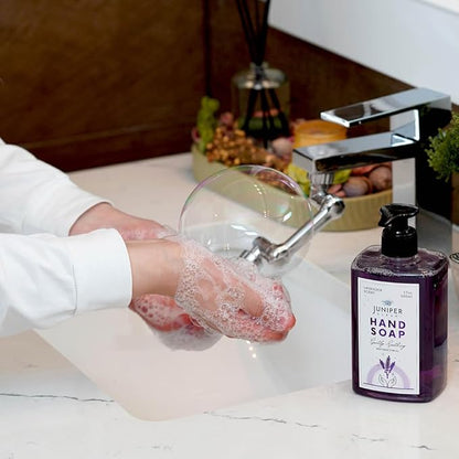 Antibacterial Hand Soap with Pump, Lavender Scent, Liquid Hand Soap 17 Fl Oz (Pack of 1)