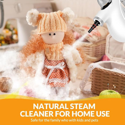 Handheld Pressurized Steam Cleaner with 12 pcs Accessories, Steamer for Cleaning, Steam Cleaner for Home Use, Steamer for Cleaning Car, Furniture, Floor, Upholstery, Grout and Tile, Light Gray