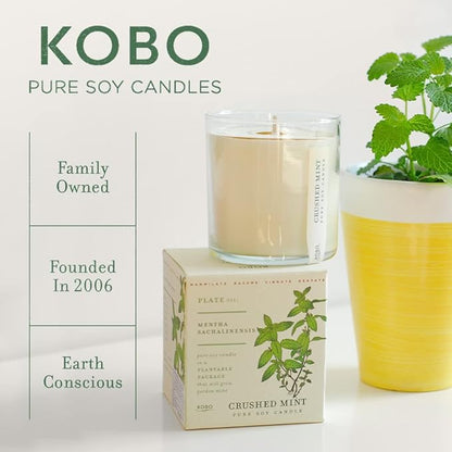 KOBO Sweet Sunflower Candle with Plantable Box (9 oz) | Plant The Box Collection, 100% Pure Soy Wax Candles | Hand-Poured in USA | Long Lasting 60 Hour Burning Candles | Scented Candles for Home
