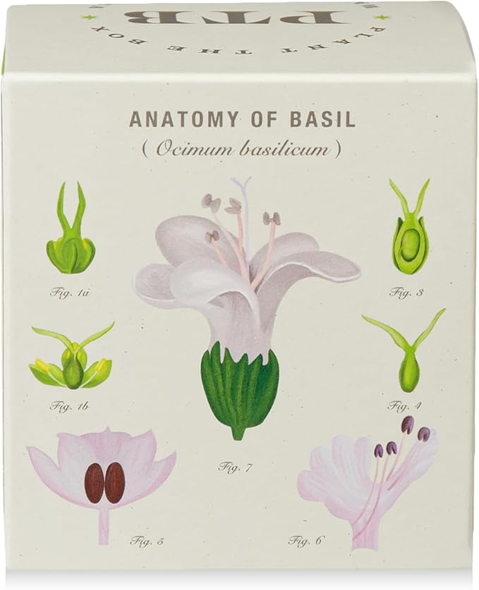 KOBO Fresh Picked Basil Plant The Box Candle (9 oz)