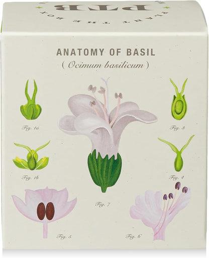 KOBO Fresh Picked Basil Plant The Box Candle (9 oz)