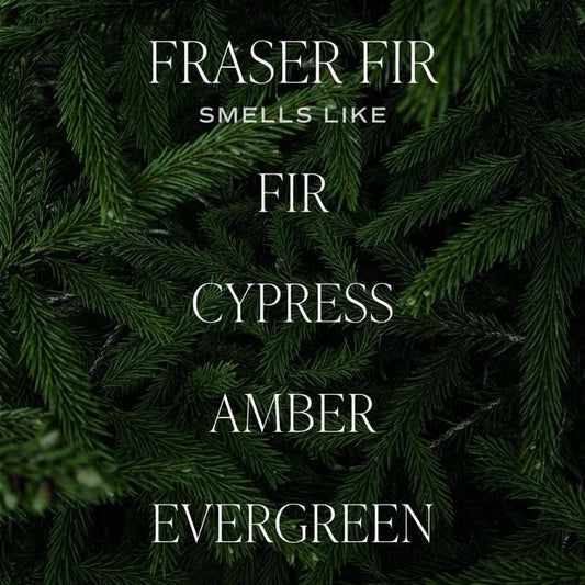 Sweet Water Decor Fraser Fir Candle - Evergreen, Fir, Cedar, and Cypress Winter Holiday Scented Soy Christmas Candles for Home - 12oz Sandstone Jar, 50+ Hour Burn Time, Made in The USA
