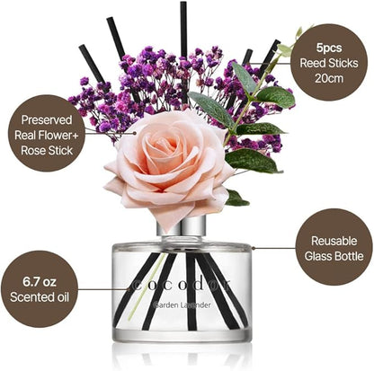 COCODOR Rose Reed Diffuser Set / 6.7oz / Garden Lavender/Scent Diffuser with Sticks Home Fragrance Reed Diffuser for Bathroom Shelf Decor