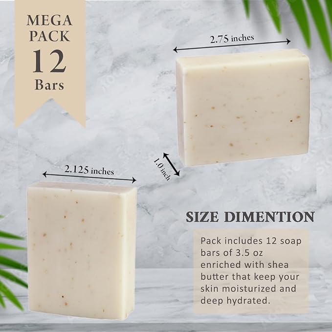 Oatmeal & Bran Scented Natural Soap Bars (12 Bars), 3.5oz Moisturizing French Triple Milled Soap Bars Enriched with Shea Butter - Pure Plant Oil Bath & Body Bars