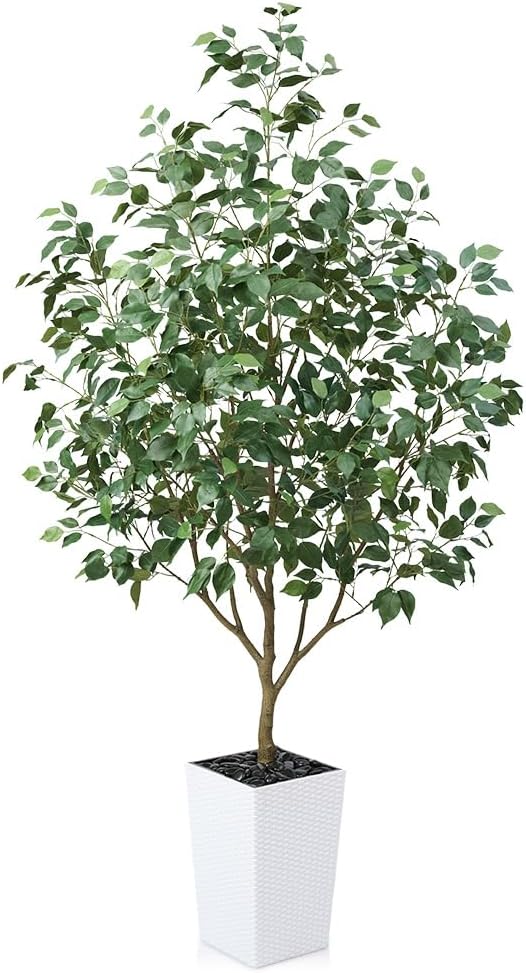 6ft Tall Artificial Ficus Tree in White Planter with Pebbles | UV Resistant Faux Tree for Indoor & Outdoor | Realistic Floor Plant Decor for Home, Office (VN128)