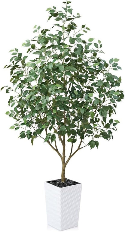 6ft Tall Artificial Ficus Tree in White Planter with Pebbles | UV Resistant Faux Tree for Indoor & Outdoor | Realistic Floor Plant Decor for Home, Office (VN128)