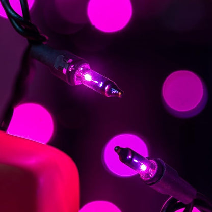 200 Count Purple Christmas Lights, Pack of 2 Strands 100 Count 33 ft Black Wire UL Listed Halloween String Light (Purple)