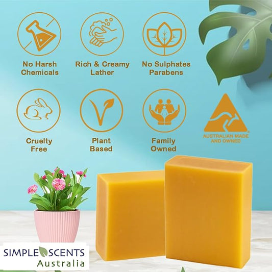 Manuka Honey Scented Natural Soap Bars (12 Bars), 3.5oz Moisturizing French Triple Milled Soap Bars Enriched with Shea Butter - Pure Plant Oil Bath & Body Bars