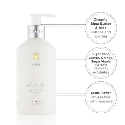 Zents Hand & Body Wash (Sun Fragrance) | Hydrating Anti-Aging Cleanser with Organic Shea Butter & Aloe for Dry Skin | Gentle & Nourishing | 10 fl oz