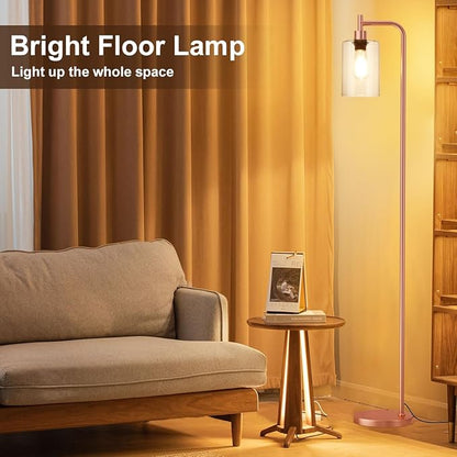 Floor Lamp with Clear Glass Shade - Industrial Standing Lamp with LED Bulb, Modern Tall Floor Lamps for Living Room Bedroom Office - Pink