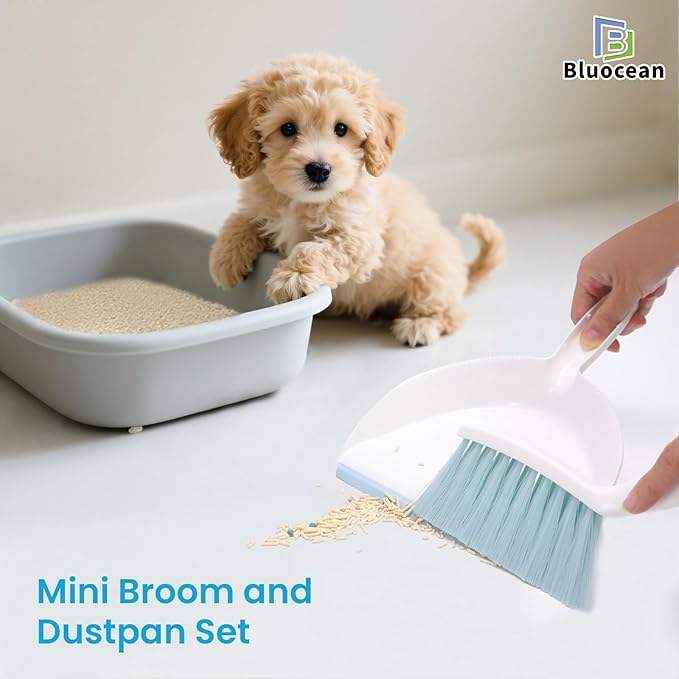 Mini Broom and Dustpan, Plus an Adhesive Hook Set, 7" Dustpan Opening, Bristles for Hair and Small Debris, Mini Portable Hand Brush for Pet, Sofa, Desk, Kitchen (White & Seafoam Blue)
