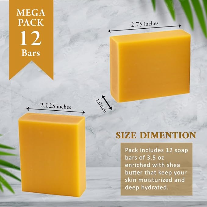 Manuka Honey Scented Natural Soap Bars (12 Bars), 3.5oz Moisturizing French Triple Milled Soap Bars Enriched with Shea Butter - Pure Plant Oil Bath & Body Bars